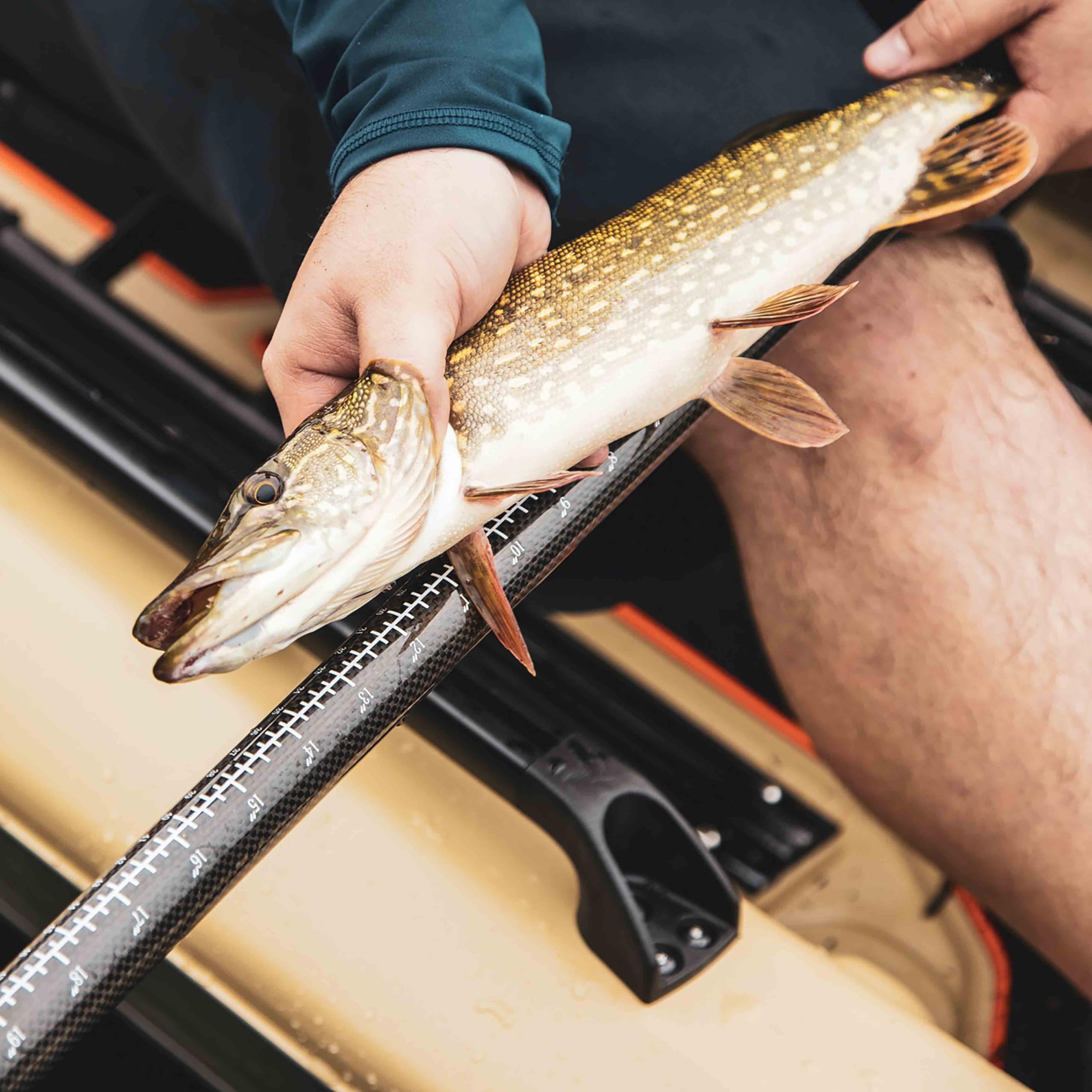 The Catch Kayak Paddle|Adjustable Fiberglass Shaft with Nylon Blades|Lightweight, Adjustable| Perfect for Kayak Fishing, 98.5 inch (250cm) - Arctic Blue - PS1973-00 - Image 5